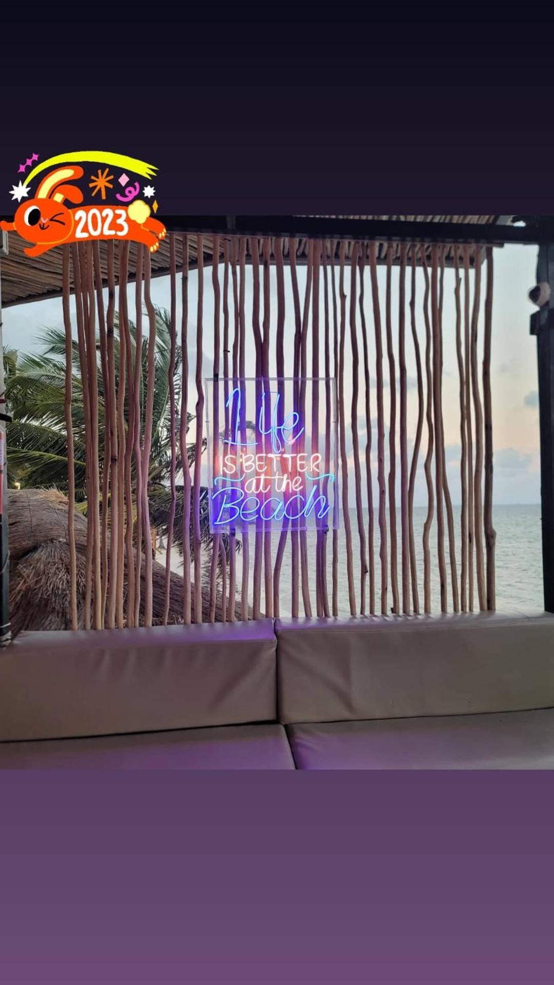 Cancun Ocean View Flamingo Plus エクステリア 写真