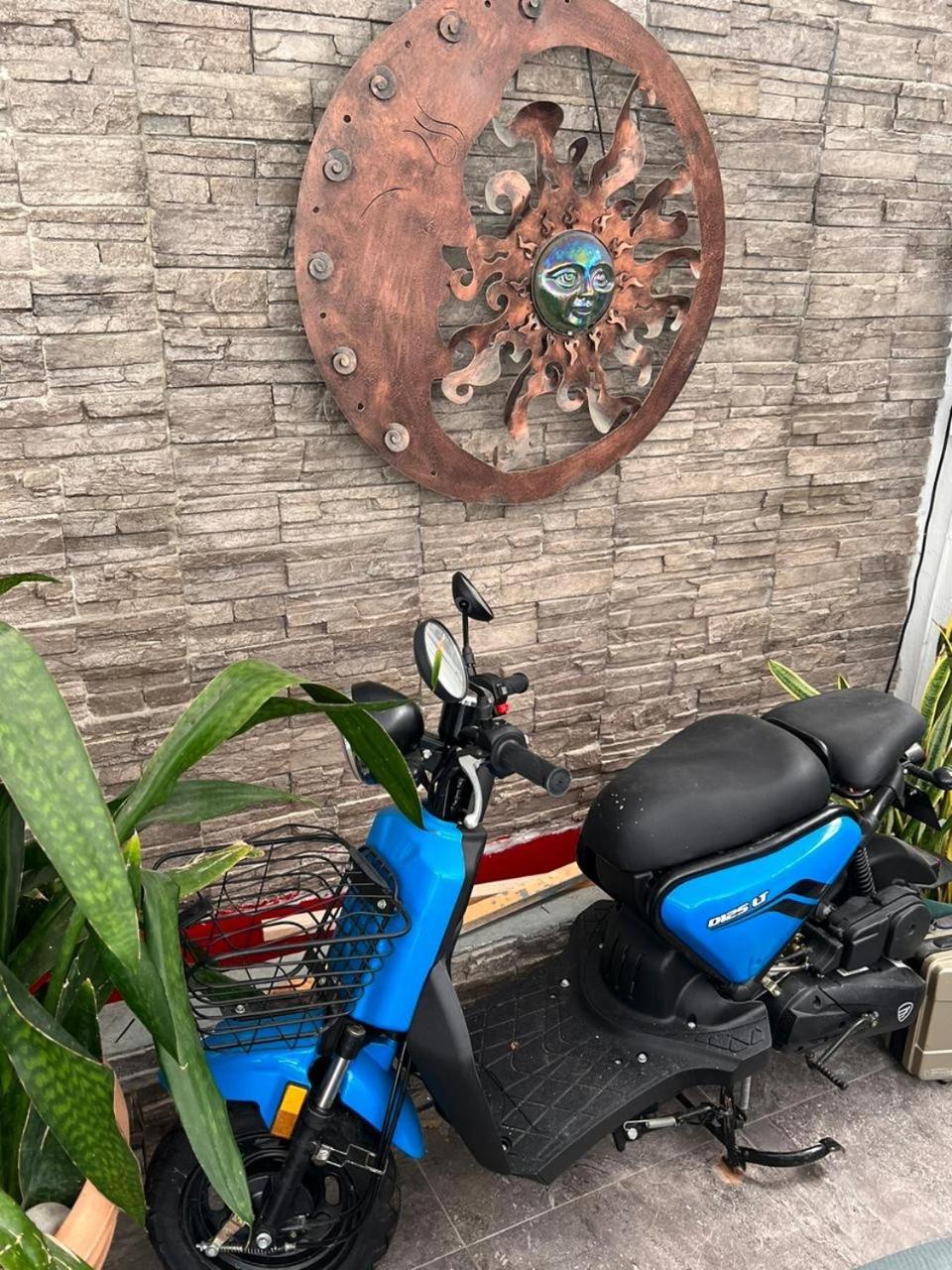 Cancun Ocean View Flamingo Plus エクステリア 写真