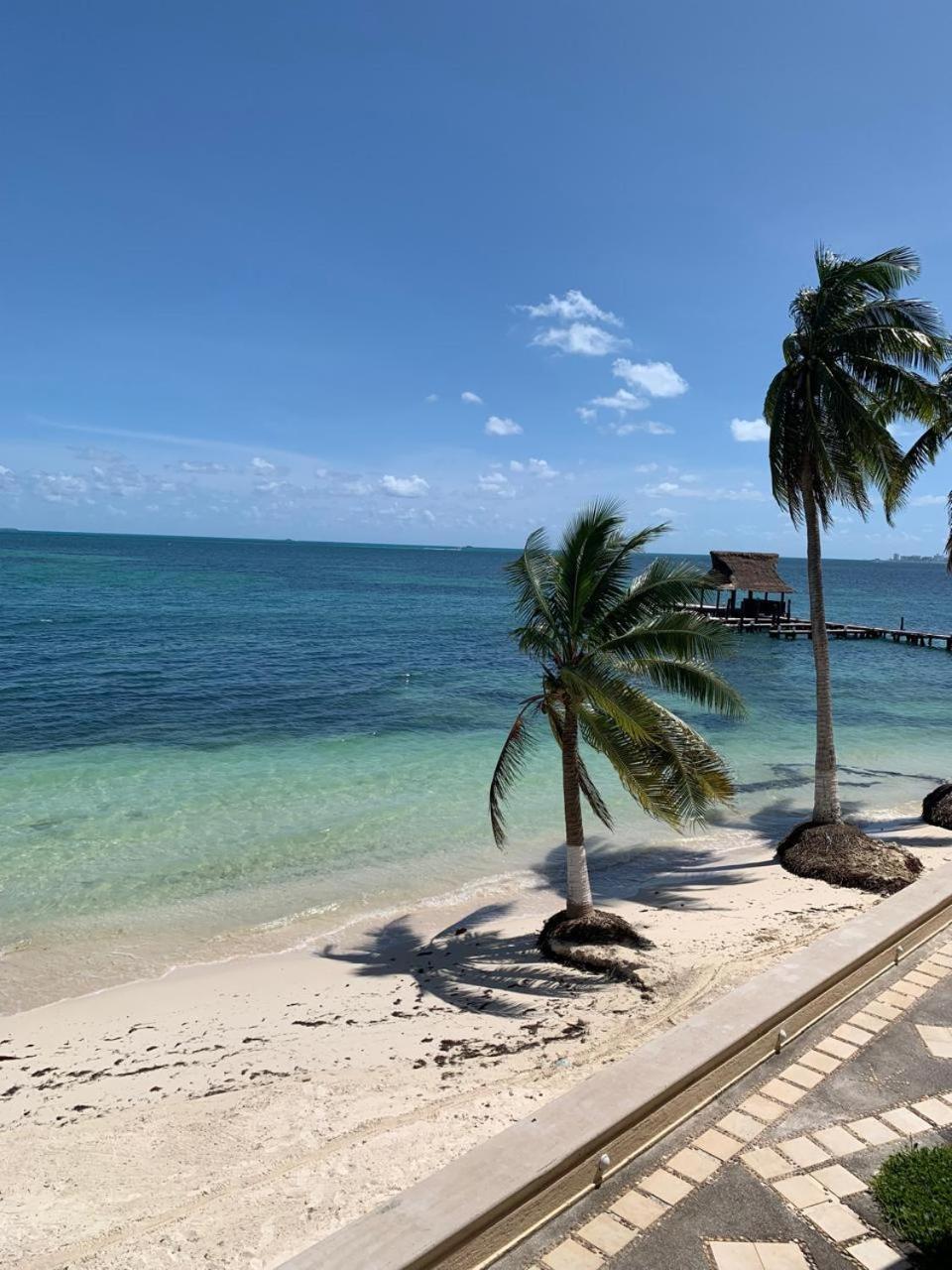 Cancun Ocean View Flamingo Plus エクステリア 写真