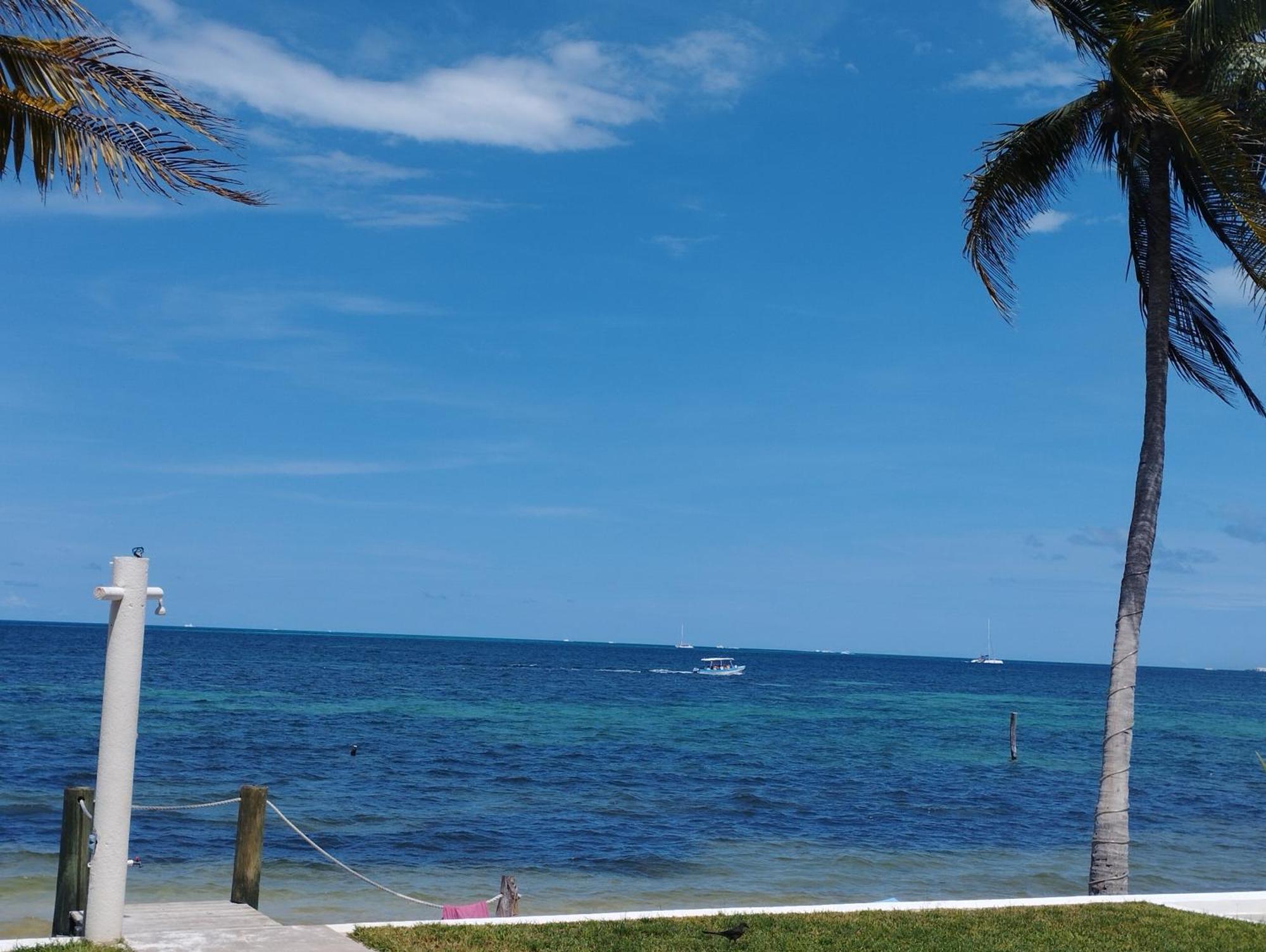 Cancun Ocean View Flamingo Plus エクステリア 写真